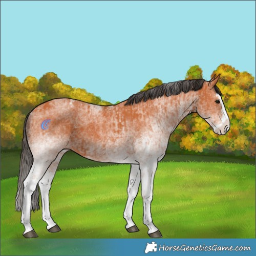 Horse Color:White Spotted Bay Splash  and White Spotted Bay Splash 