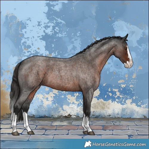Horse Color:Liver Red Roan Splash 