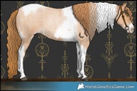 Horse Color:Red Roan Pearl Tobiano Frame