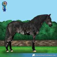 Horse Color:Void Platinum Liver Chestnut Sabino Rabicano 