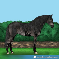 Horse Color:Void Platinum Liver Chestnut Sabino Rabicano