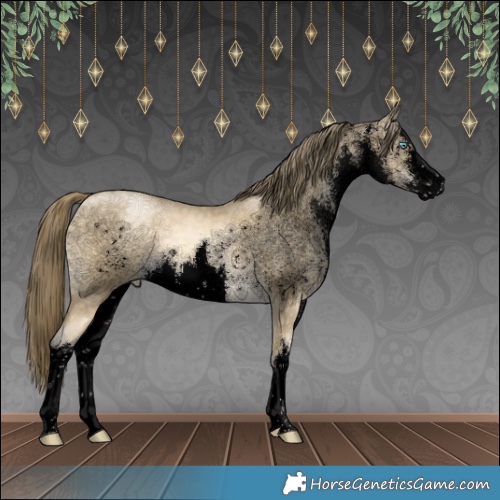 Horse Color:Void White Spotted Buckskin Pearl Mushroom 