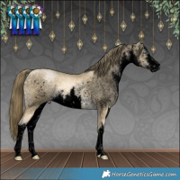 Horse Color:Void White Spotted Buckskin Pearl Mushroom 