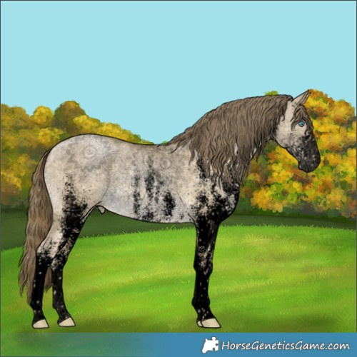 Horse Color:Void White Spotted Brown Snowdrop Pearl Dun Rabicano 