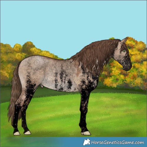 Horse Color:Void White Spotted Brown Pearl Dun Rabicano 