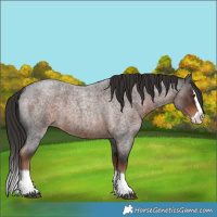 Horse Color:Liver Red Roan Splash 