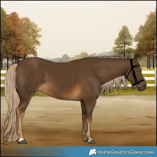 Horse Color:Chocolate Palomino 