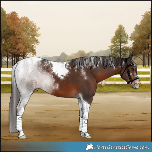 Horse Color:Powder White Liver Chestnut Tobiano 