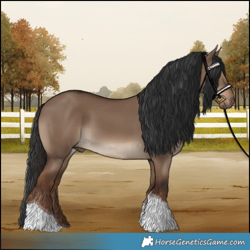 Horse Color:Liver Red Dun Tobiano 