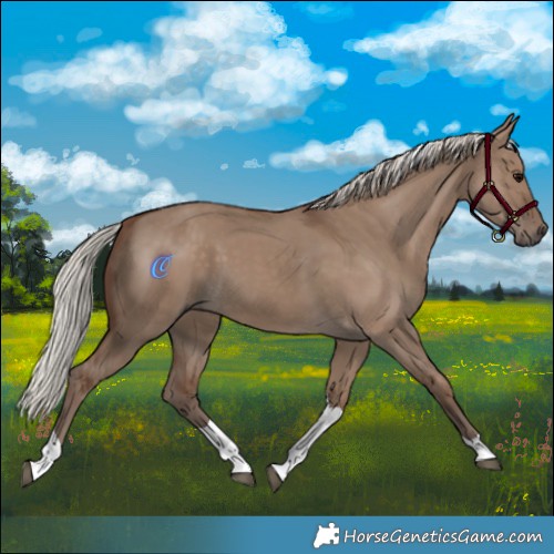 Horse Color:Silver Grullo Tobiano 