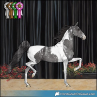 Horse Color:Powder White Smoky Black Tobiano 