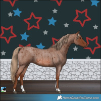 Horse Color:Red Roan Tobiano 
