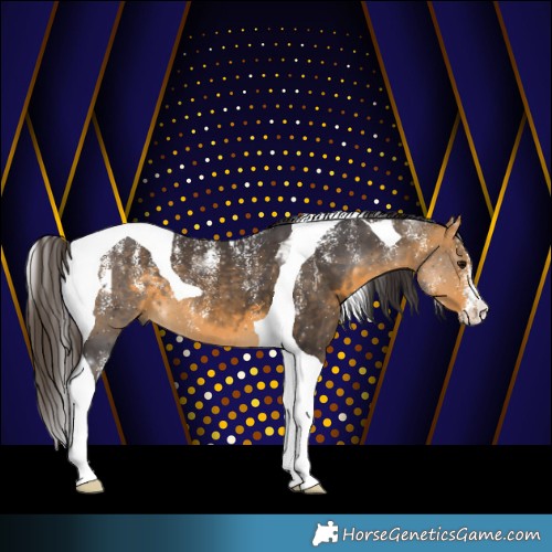 Horse Color:Powder White Buckskin Tobiano 