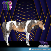 Horse Color:Powder White Buckskin Tobiano 