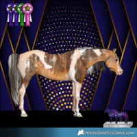 Horse Color:Powder White Buckskin Tobiano