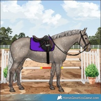 Horse Color:Silver Grullo Snowflake Varnish