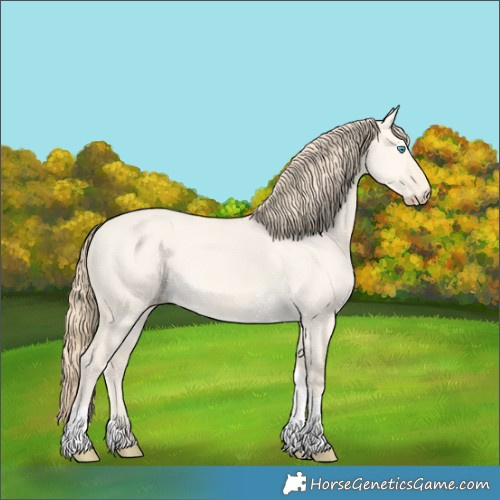 Horse Color:Perlino Dun Tobiano