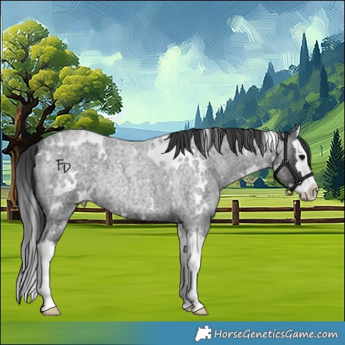 Horse Color:White Spotted Blue Roan Splash Rabicano