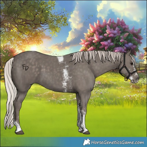 Horse Color:Silver Black Sabino Tobiano 