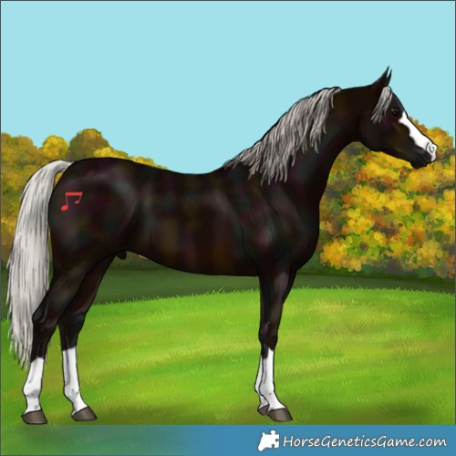 Horse Color:Midnight Silver Brown 