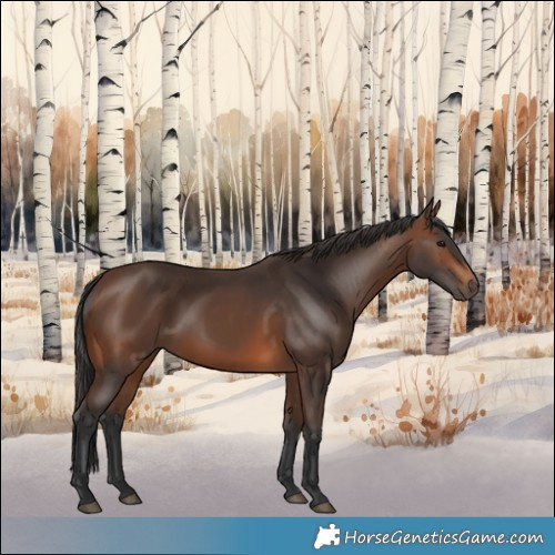 Horse Color:Brown Rabicano 