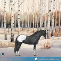 Horse Color:Black Snowcap