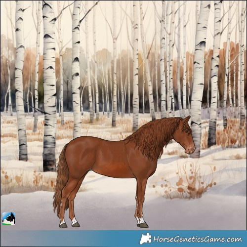 Horse Color:Chestnut Varnish