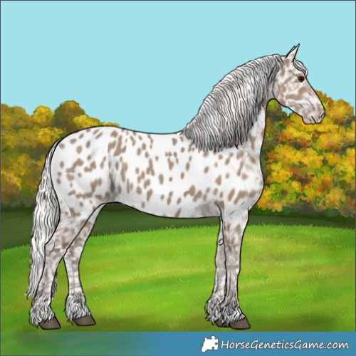 Horse Color:Silver Grullo Near Leopard 