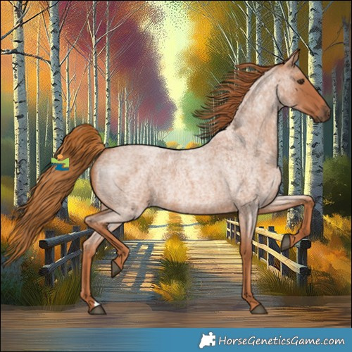 Horse Color:Red Roan 