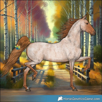 Horse Color:Red Roan