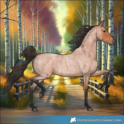 Horse Color:Bay Roan 