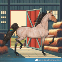 Horse Color:Bay Roan