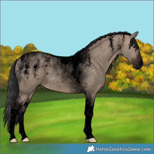 Horse Color:Powder White Void Brown Dun Tobiano Rabicano 