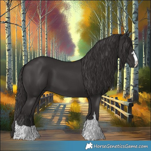 Horse Color:Smoky Black 