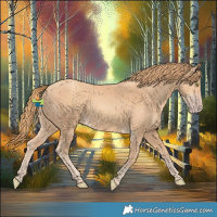 Horse Color:Gold Champagne 