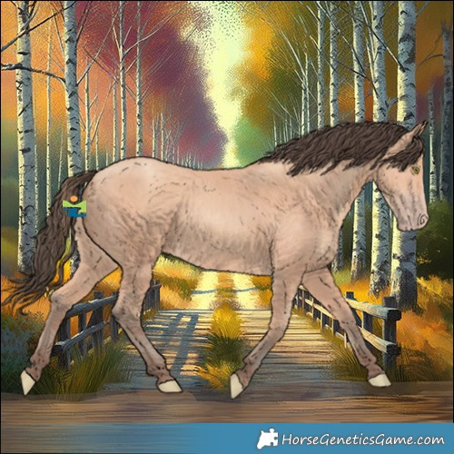 Horse Color:Amber Champagne 