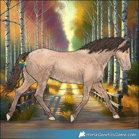 Horse Color:Amber Champagne 