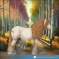 Horse Color:Red Roan Splash