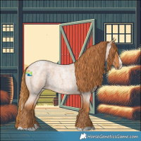 Horse Color:Red Roan Splash 