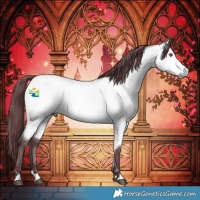 Horse Color:Platinum Chocolate Buckskin Chinchilla 