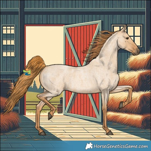 Horse Color:Red Dun Roan 