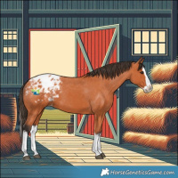 Horse Color:Bay Splash Blanket 