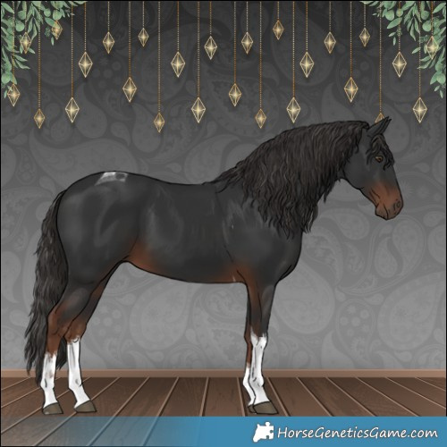 Horse Color:White Spotted Liver Chestnut Tobiano