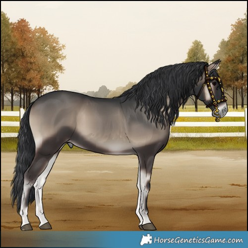 Horse Color:White Spotted Blue Onyx