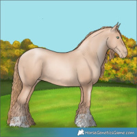 Horse Color:Gold Champagne Pearl Rabicano  and Gold Champagne Pearl Rabicano 