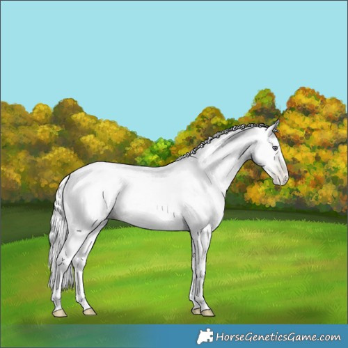 Horse Color:Silver Smoky Grullo Chinchilla Pearl 