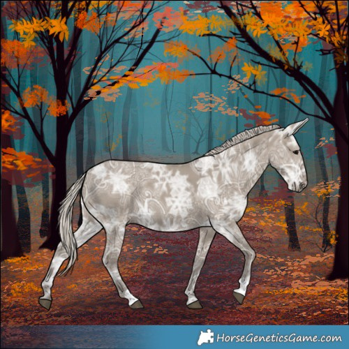 Horse Color:Silver Smoky Grullo Ice 