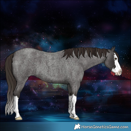 Horse Color:Liver Red Roan Splash