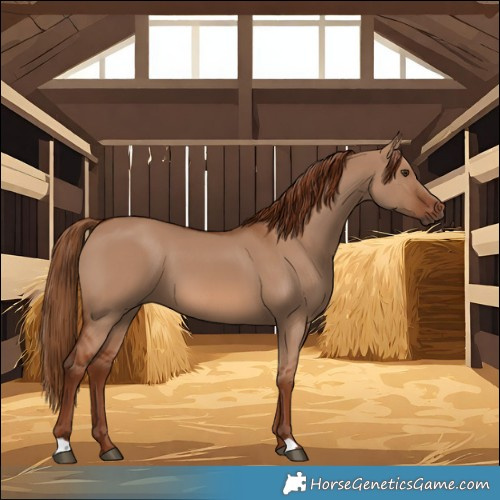 Horse Color:Red Dun 