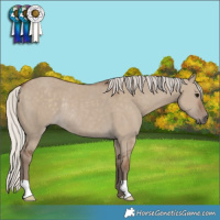 Horse Color:Silver Grullo Rabicano